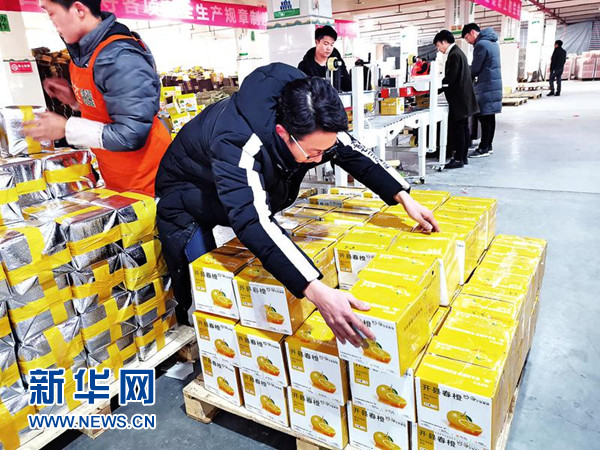 Ӱ¥��ɴ��Ӱ��ɴ�ռ۸� �����ױ�ǼұȽϺ� ������Ʒ�嵥