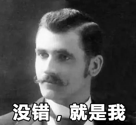 一位叫罗伯特·纳维利斯的意大利人突然火了!