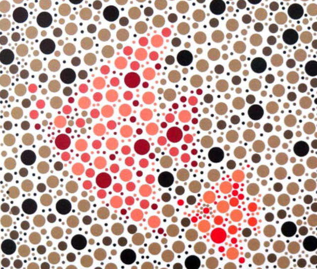 5张色盲色弱检测图第4张中的两种动物在农村很常见