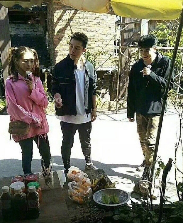 王源杨超越新综艺《哈哈农夫》,贾乃亮加盟,网
