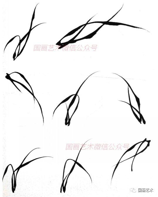 我们把这一组兰叶结构称为兰叶的起式天下第一结构,这个起式是画豪技