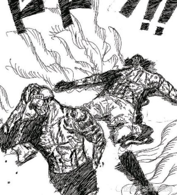 冰火岛一战到底谁输了?青雉没了腿,赤犬却没了这东西