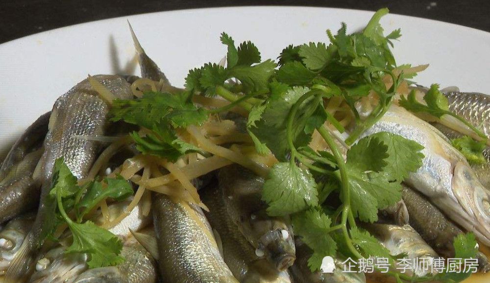 一般人吃不起的小鱼,喜欢逆流而上,是云南老