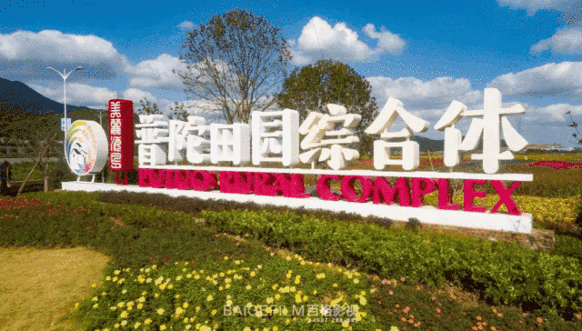 还记得去年国庆期间 展茅普陀田园综合体内 那极具视觉冲击力的五色