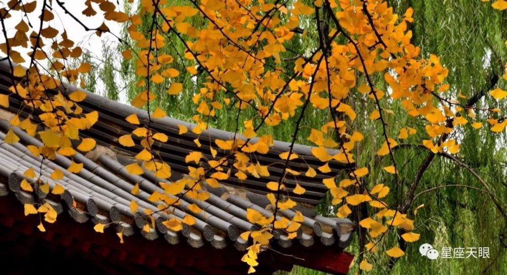 星座天眼 12月31日十二星座运势有梦最美 希望相随 腾讯新闻