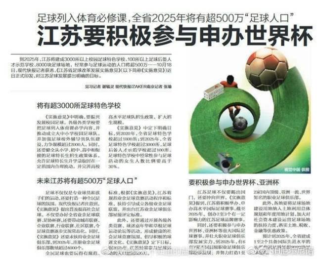提升足球人口_人口普查(3)