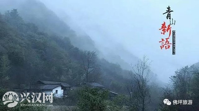 佛坪扶贫微电影《青山新语》温情上映!