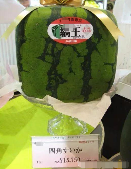 日本水果包装精美,价格却不友好,网友:西瓜不