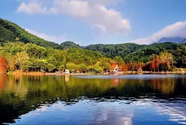 2018年深圳各区GDP成绩单公布!一起看看哪个