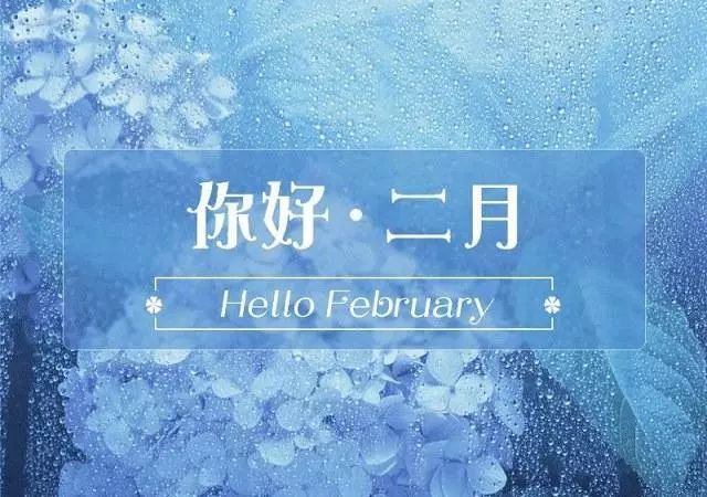1月再见,2月你好,2月加油,愿所有幸福如期而至!