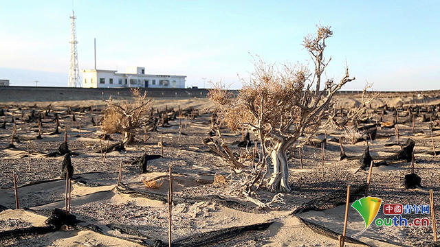 Ӱ¥��ɴ��Ӱ��ɴ�ռ۸� �����ױ�ǼұȽϺ� ������Ʒ�嵥