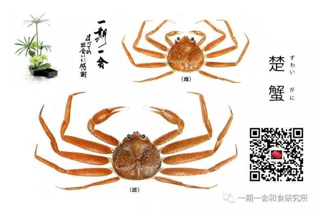 腾讯内容开放平台