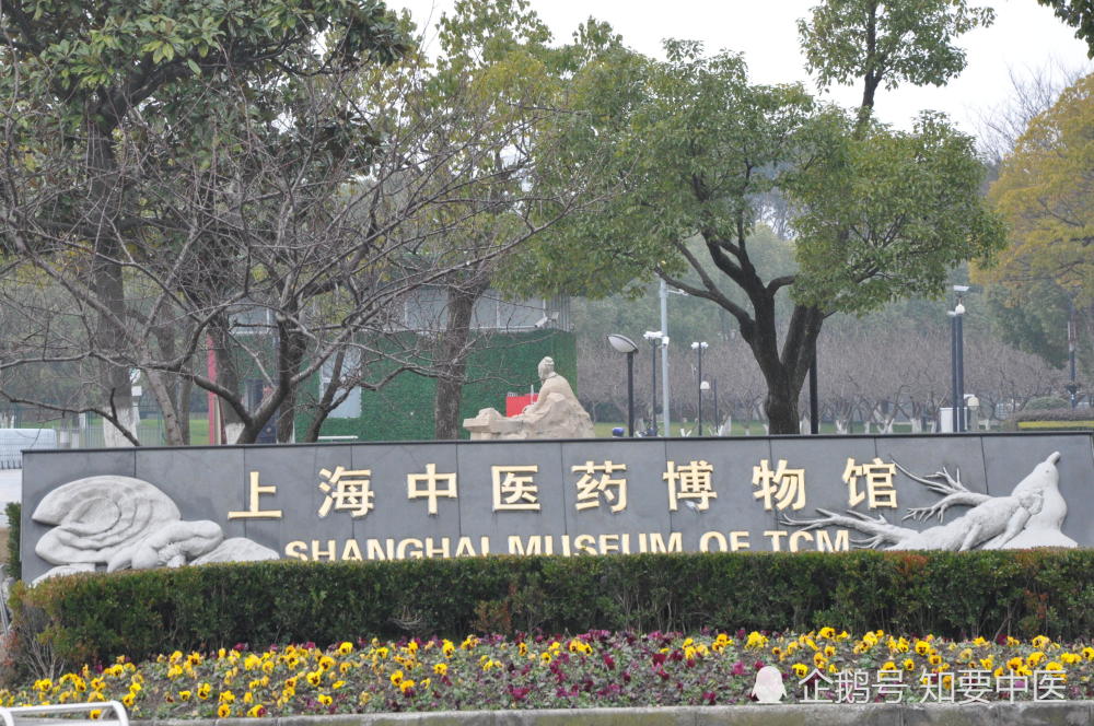 "废止中医案"的抗争"上海中医药博物馆"探秘近代"海上中医"