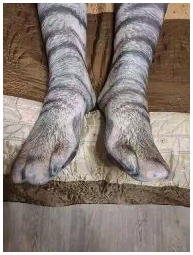 主人网购一双猫咪色号袜子,穿上后猫咪一脸嫌