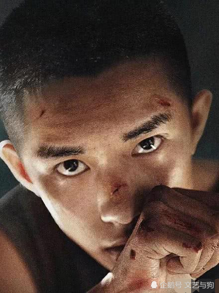 易烊千玺新片退出柏林电影节 粉丝:入围即肯定