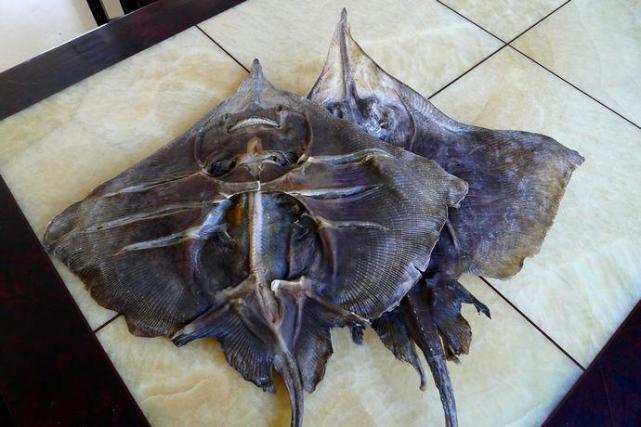 鳐鱼也是一种食用鱼,渔民们通常是把鳐鱼腌制晒干,晒干后的鳐鱼会散发