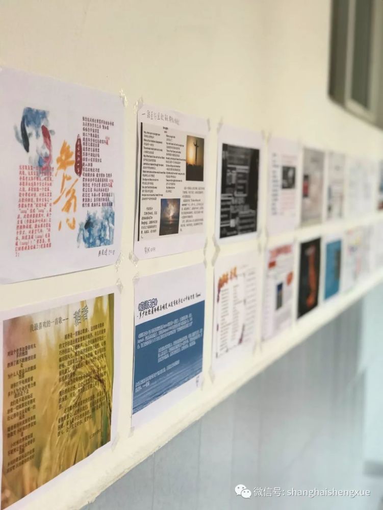 展播 | 上海民办新竹园中学:厚积薄发,我们行走