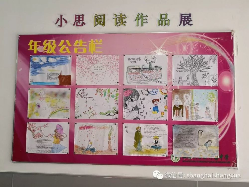 展播 | 上海民办新竹园中学:厚积薄发,我们行走