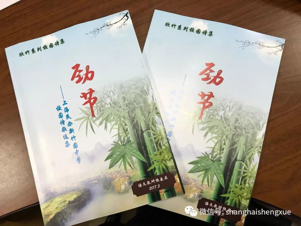 展播 | 上海民办新竹园中学:厚积薄发,我们行走