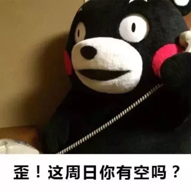 聽說商丘學院的學子們放假了?