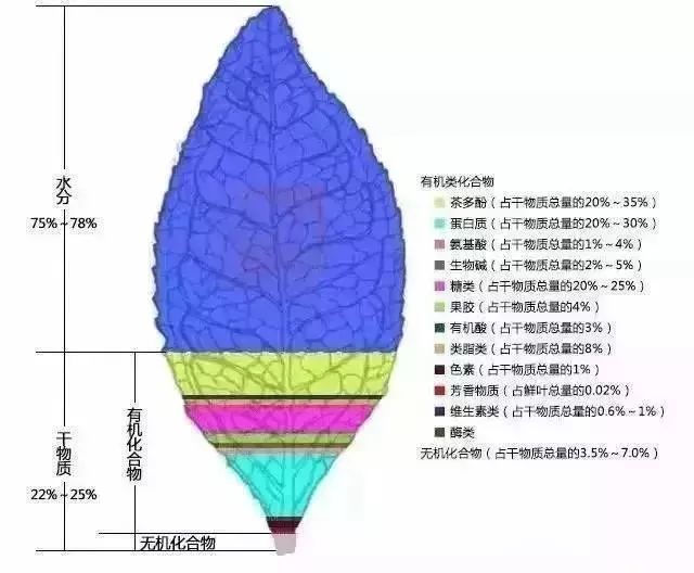 蓮葉茶量茶合-