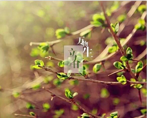 农历2019年无立春节气!微信表情雨最全整理