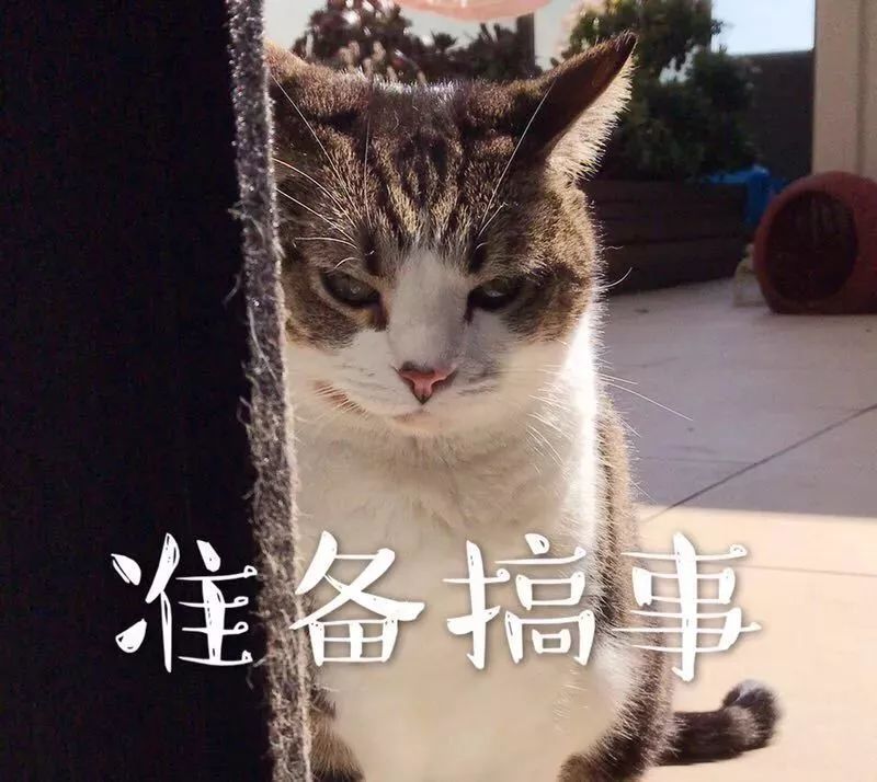 就会让大家认清冬天的现实.