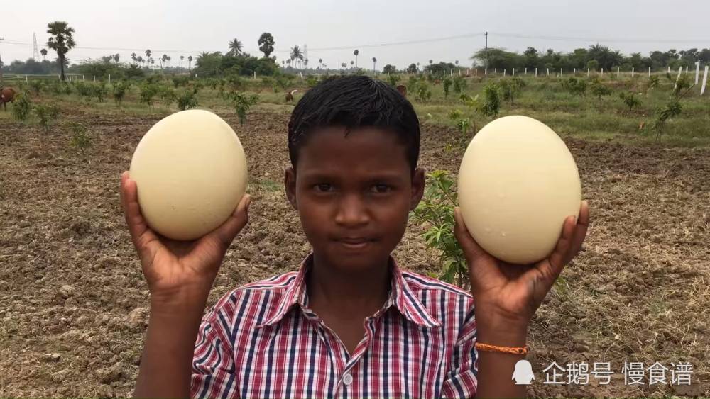 印度小哥买了两个"巨蛋",头那么大,煮出来不够一个人吃