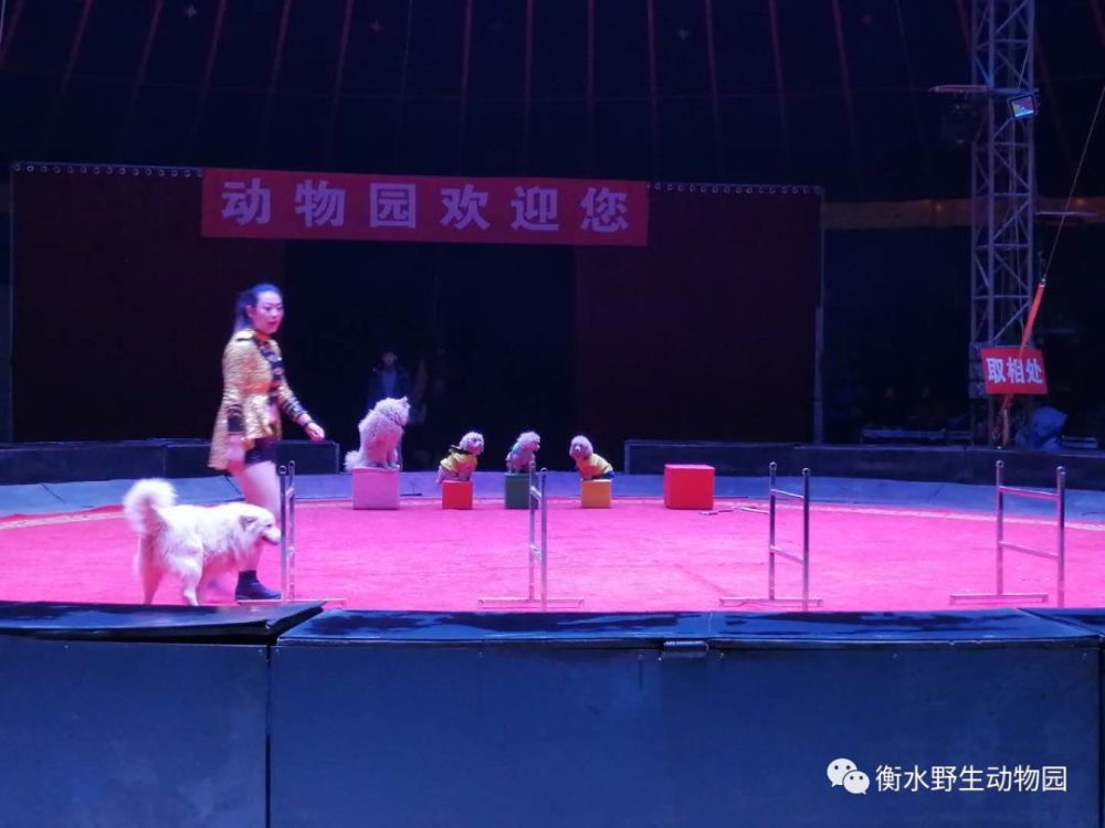 加油站机低槽