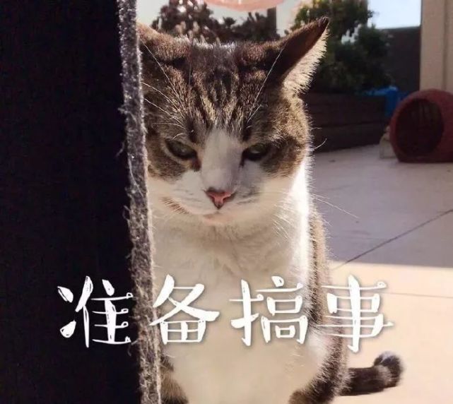 挺住,冷空气马上到藤县!降温 降雨