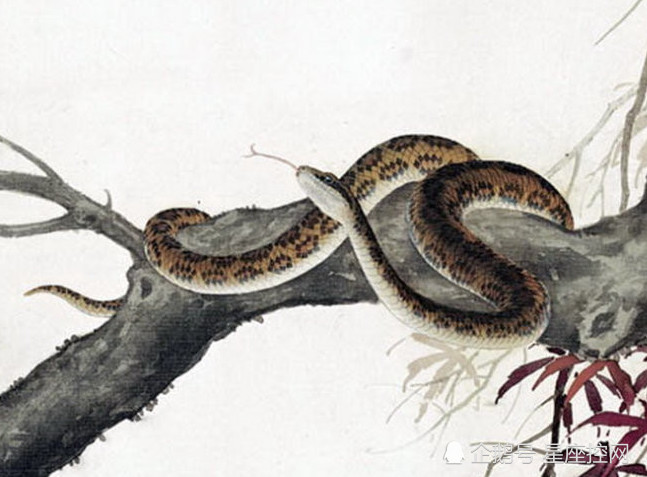 正月初三,三喜临门!这5年生的属相今日起