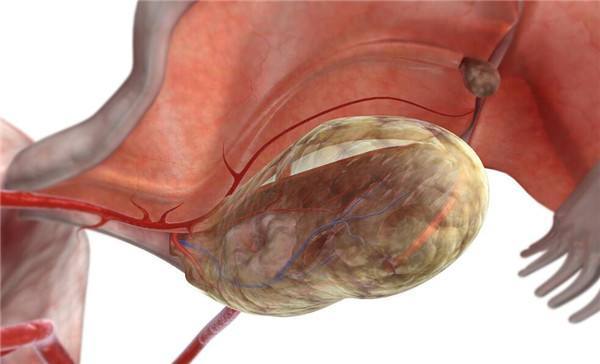 月经在女子体内是如何运作的?3d动画告诉你,真相是什么