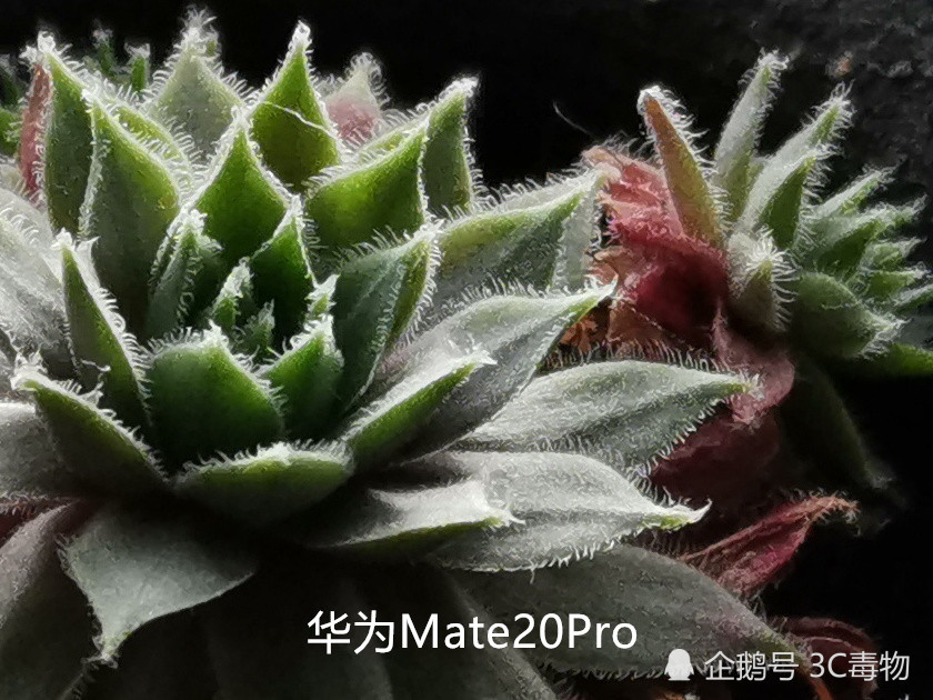 同是4000万镜头 华为Mate20暴力碾压诺基亚1020