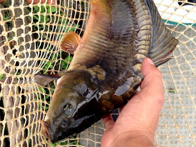 腾讯内容开放平台