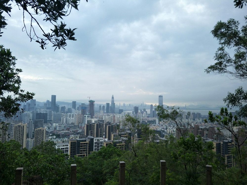 深圳最富的地方:第一不是福田,人均gdp超荷兰