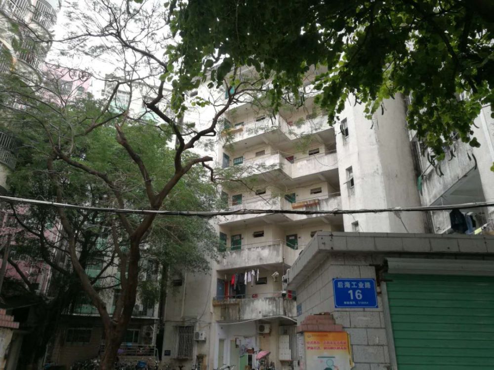 南山后海村旧改远洋集团开发