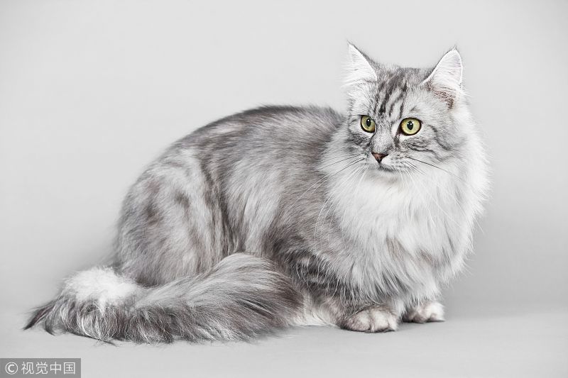 冷知识|18个冷知识：真实存在于世界，最后一个你绝对不知道