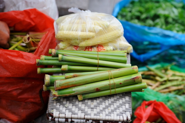 崇明甜芦粟要火韩正书记教你最萌吃法