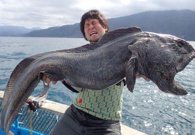 三 怪 日本 魚 大 統治者！日本最深海域發現新種巨型怪魚 獵食影像曝光