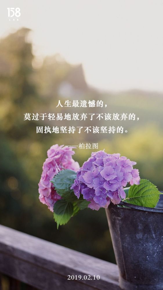 人生最遗憾莫过于:轻易放弃不该放弃的,固执不该坚持的