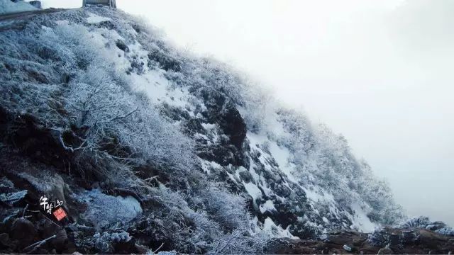 雪和雨一起落下,风里还是冬天的寒气.大雁飞回,早梅开放.