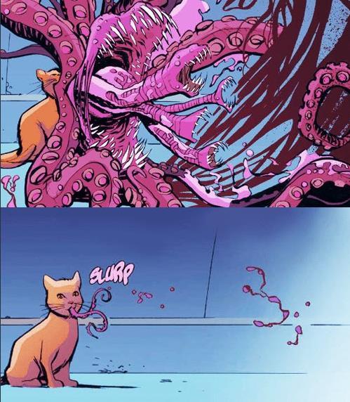 不是简单的小猫咪惊奇队长公开猫咪玩具图