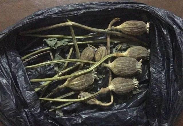 糊涂男子携8枚罂粟壳过安检被查,称妈妈让他炖