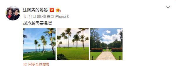 时隔5个月,哈文首晒李咏美国墓地图,其配文隐约表达不回国实情