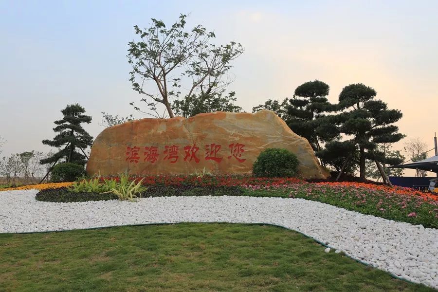 投资175亿东莞首个滨海公园本月底迎客美爆了