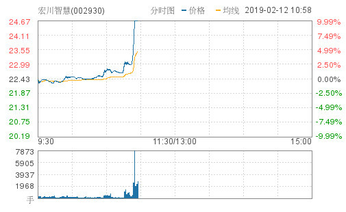 粤港澳大湾区异动,龙头宏川智慧直线封板