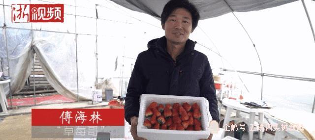 每天发100多箱!诸暨"草莓哥"直播4个月挣百万元!