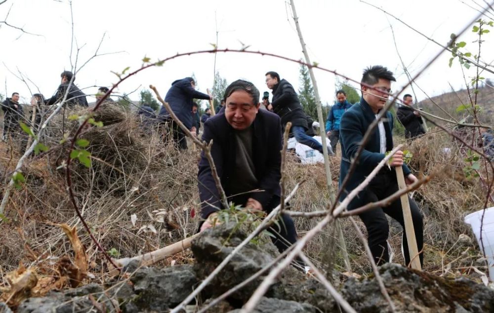 县人大常委会主任谭观银在植树.