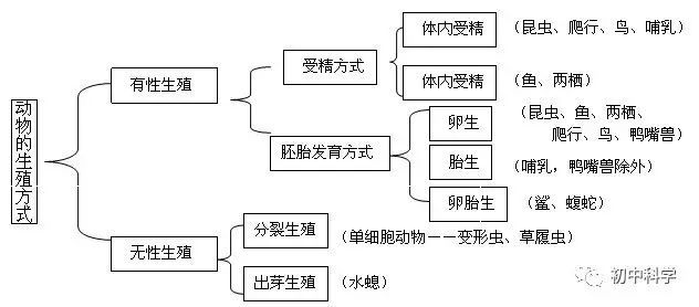 注:試管嬰兒:有性生殖,體外受精(試管裡),體內發育,胎生克隆羊:無性