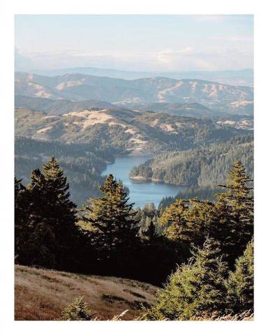 佛语禅心的人生感悟句子,句句箴言,总有一句点